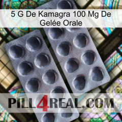 5 G De Kamagra 100 Mg De Gelée Orale 31